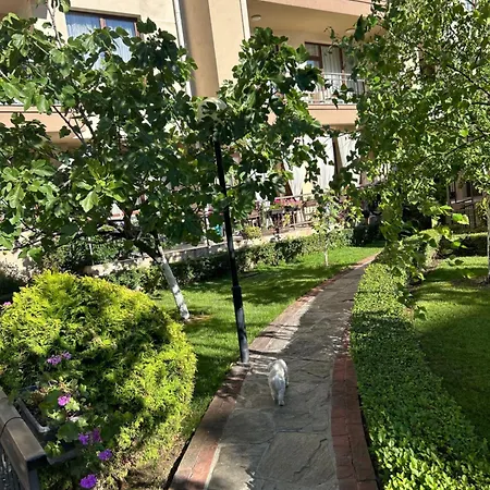Sorrento E 24 * سفيتي فلاس